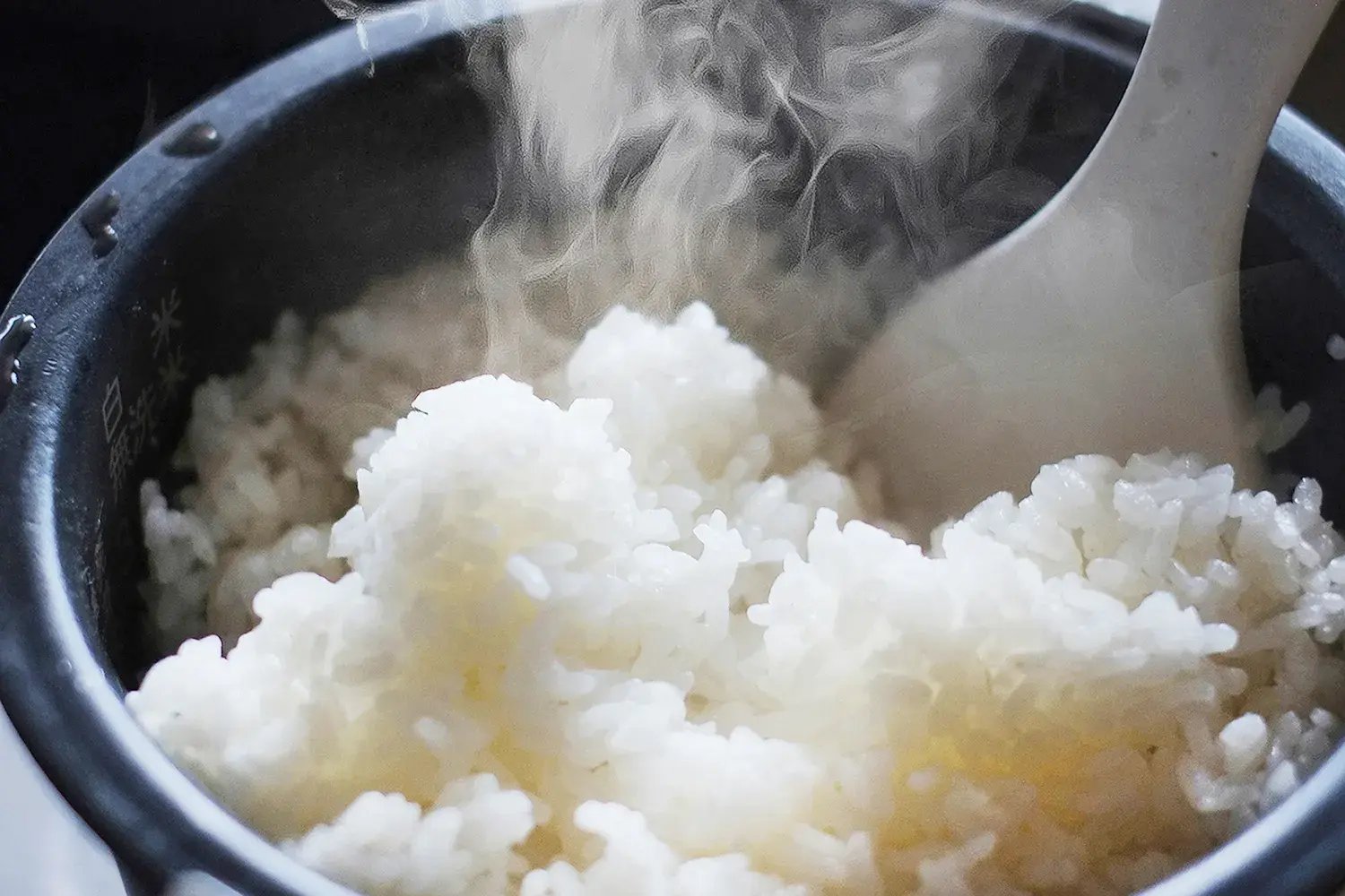 ・・C・臥j縺阪◆縺ヲ縺薙y鬟ッ_no.25924170_m